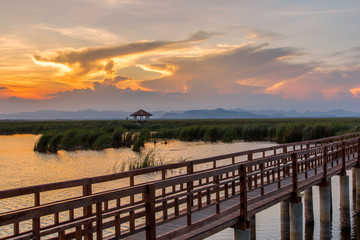 Fototapeta na wymiar Wooden Bridge in lotus lake on sunset time at Khao Sam Roi Yot National Park, Thailand