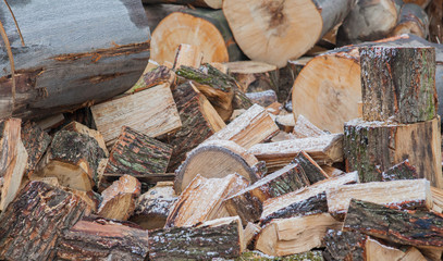 Chopped wood in the farm. Wood industry.