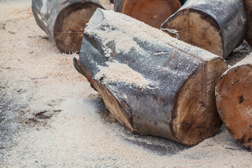 Chopped wood in the farm. Wood industry.