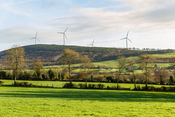 Beautiful irish landscape