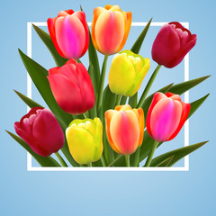 tulip flower design background floral card art