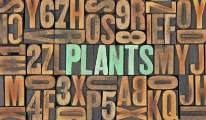 Plants / caracteres d'imprimerie en bois 
