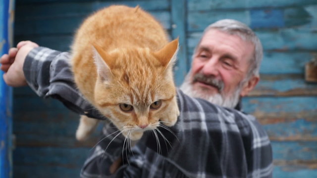 man playing with a cat on his hands