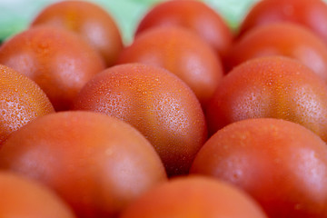 Cherry tomatoes with water drops close-up salad,eco, food concept. Vitamins.Group of tomatoes closeup.