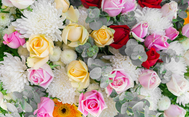 Beautiful flowers  for valentines and wedding scene