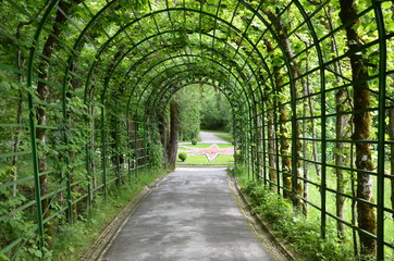 Grünes Portal