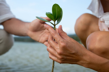 Couple holding young plant in hands