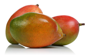 fresh mango