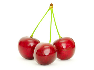 sweet cherry