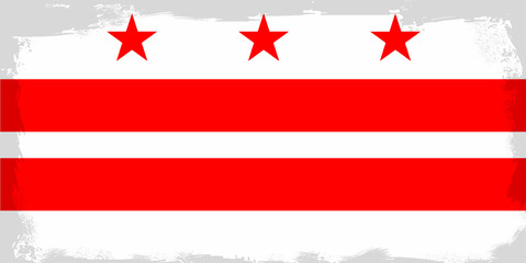 Washington DC City Flag