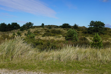 Obraz premium Grüner Hügel