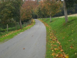 Strasse im Herbst