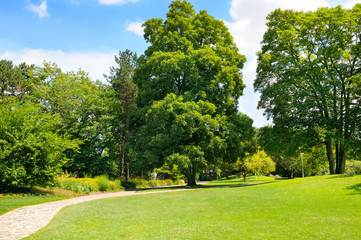 Obraz premium park, green meadow and blue sky
