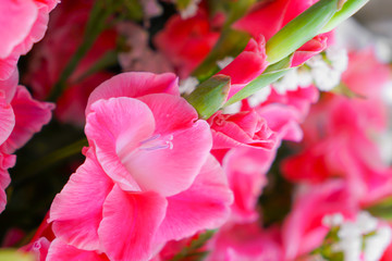 Beautiful flowers  for valentines and wedding scene