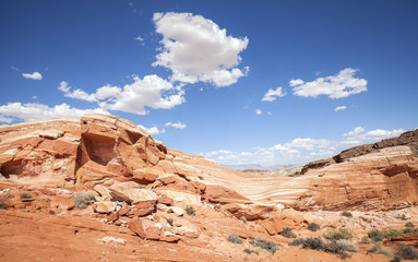 Obraz premium Valley of Fire wild landscape, Nevada, USA