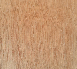Naklejka premium Wood texture 
