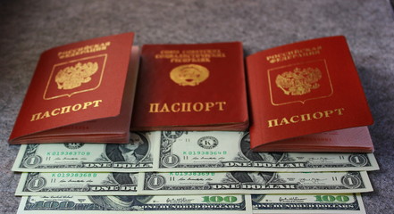 Три российских паспорта разных эпох на долларах разного номинала