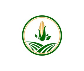 Corn logo