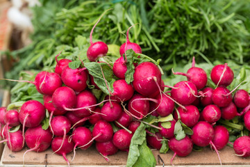 Bright Red Organic Radishes at a Farmers Market