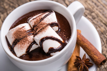 Cup of hot chocolate with marshmallow and cinnamon.