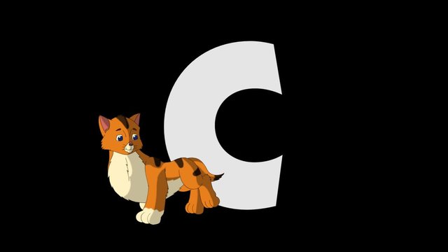 Letter C and Cat (foreground)
Animated animal alphabet. HD footage with alpha channel. Animal in a foreground of letter.