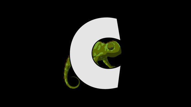 Letter C and Chameleon (background)
Animated animal alphabet. HD footage with alpha channel. Animal in a background of letter