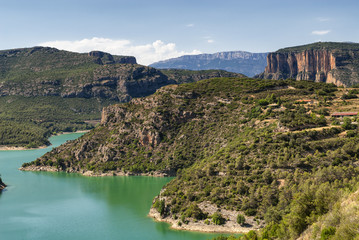 Obraz na płótnie Canvas Noguera (Catalunya), river