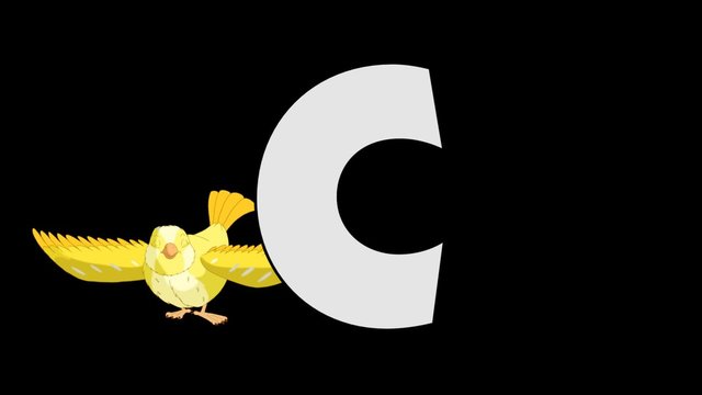 Letter C and Canary (background)
Animated animal alphabet. HD footage with alpha channel. Animal in a background of letter