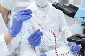 close up of scientists filling perti dish in lab