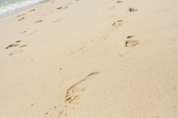 Fototapeta na wymiar Foot print on a sand beach in sunny day