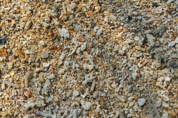 Sea sand texture made of shell and stone pieces.