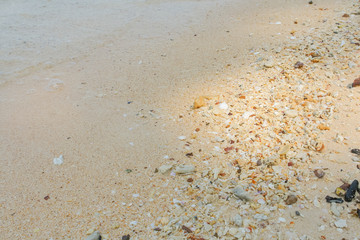 Sea sand texture made of shell and stone pieces.