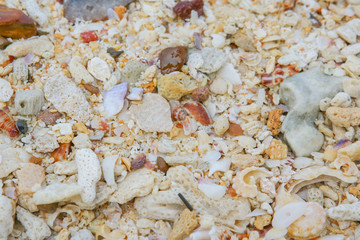 Sea sand texture made of shell and stone pieces.