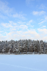 Frozen lake and snow covered forest