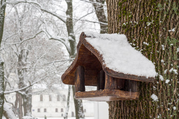 Feeder for Bird. Winter