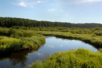 Marshland in Northern Saskatchewan, Canada