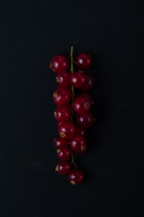 red currant on black