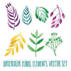 Fototapeta na wymiar Vector floral set. Colorful floral collection with leaves, drawing watercolor. Spring or summer design for invitation, wedding or greeting cards. Set of floral elements for your compositions.