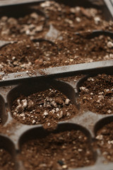 Seed Starter