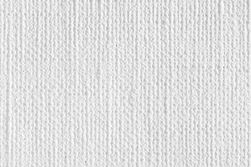 White canvas texture.
