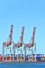 Port cargo crane