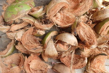 dry coconut husk