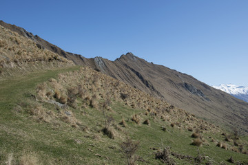 Sendero en campos verdes con montañas, Isla Sur de Nueva Zelanda
