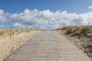 Path to the beach in summer under blue cloudy sky