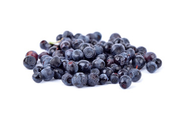 Blueberry on white