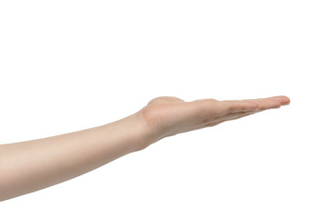 empty young female hand to hold something, isolated on white background