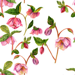 Vintage style seamless background pattern with watercolor hellebores