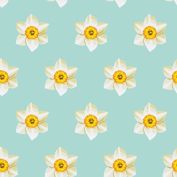 White daffodil seamless background