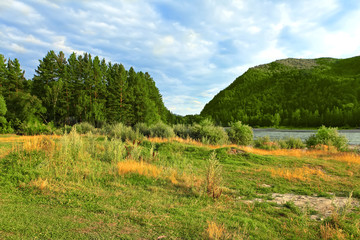 Obraz premium Mountain landscape with river and forest