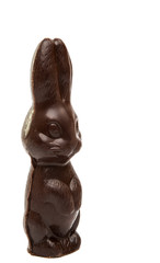 Fototapeta na wymiar Chocolate Easter bunny